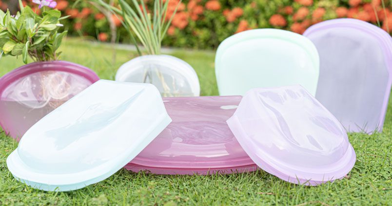 The Eco-Friendly Revolution