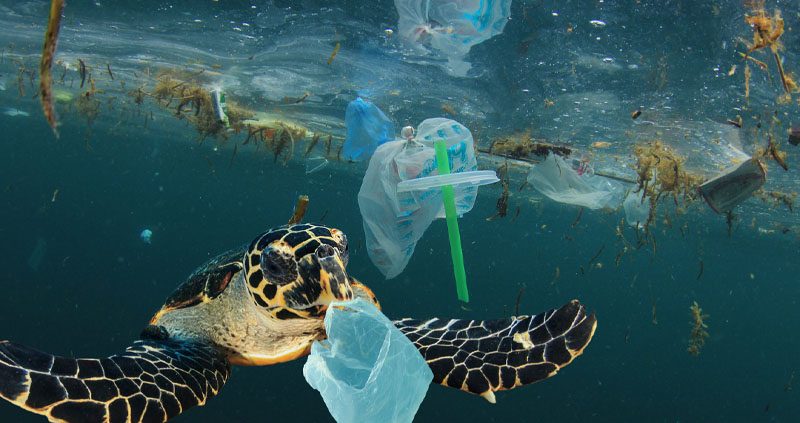 Silicone Bags Reusable Food Bags Silicone Storage Bags Reusable Silicone Bags