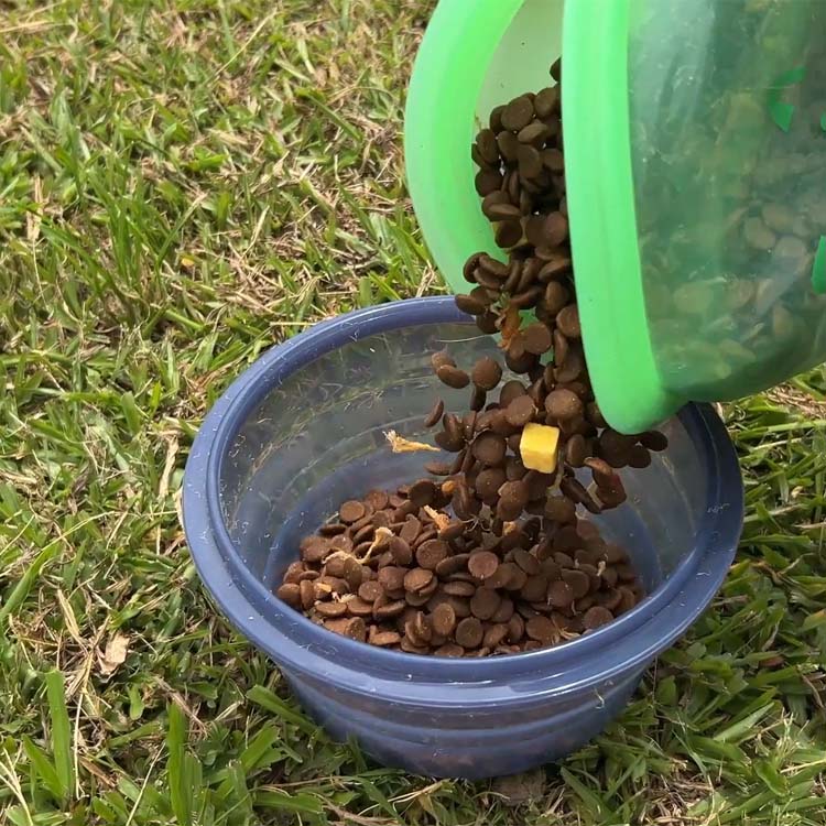 Collapsible Silicone Container