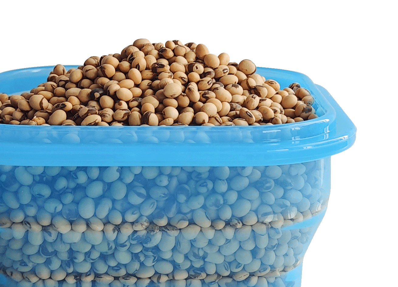 silicone bowl blue