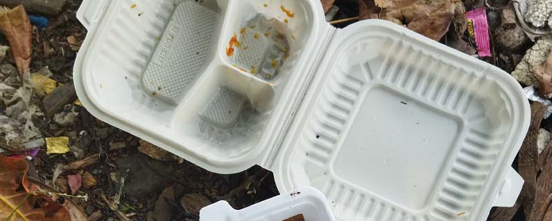 Silicone Lunch box
