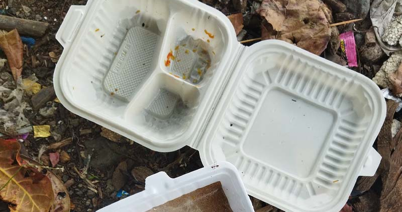 Silicone Lunch box