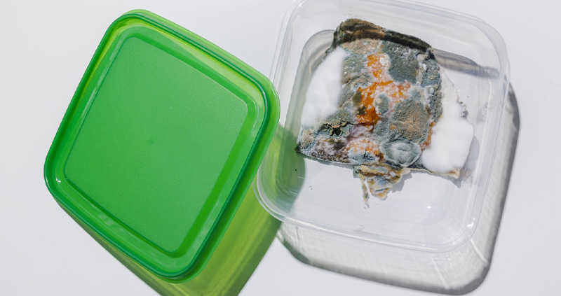 Silicone Lunch box