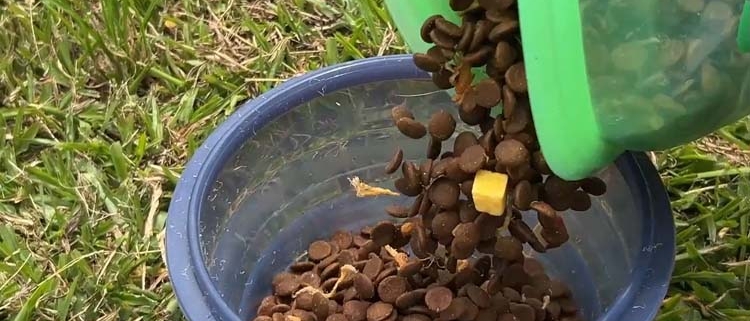 Collapsible Silicone Container