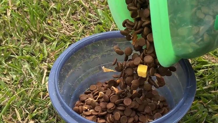 Collapsible Silicone Container