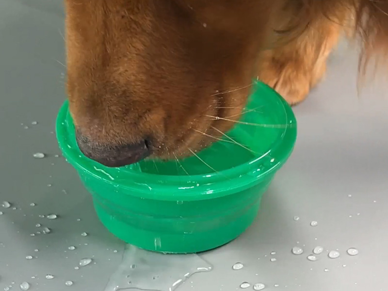 Collapsible Silicone Container